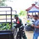 Perkuat Ketahanan Pangan: Satgas TMMD 129 Bojonegoro Pasok Ratusan Bibit Sayuran untuk Warga Kesongo