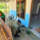 Sinergi Tanpa Sekat: Kala Satgas TMMD 129 Bojonegoro dan Warga Kesongo Bahu-Membahu Merajut Asa Ibu Jasmiati