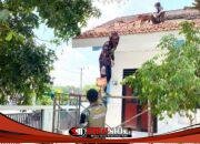 Atap Kokoh, Warna Baru: Sinergi Satgas TMMD 129 Bojonegoro dan Warga Sulap SDN Kesongo 1 Jadi Rumah Belajar Nyaman