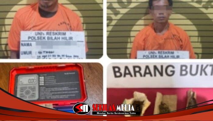 Dua Orang Peredaran Ganja Berhasil Dibekuk Polsek Bilah Hilir, Barang bukti Disita
