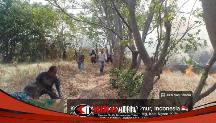 Angin Kencang Picu Api Meluas, TNI dan Warga Berjibaku Padamkan Kebakaran 10 Hektare di Ngoro
