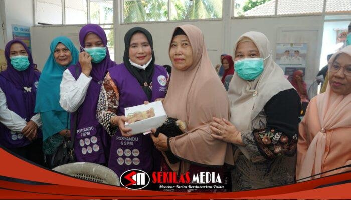 Ketua TP Posyandu Asahan Tinjau Pelayanan di Teluk Dalam: Perkuat Peran Posyandu 6 SPM dan Tracing TBC