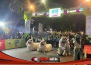 Efek Domino dari Bondowoso Night Run, 2.350 Pelari Ramaikan Harjabo 2026