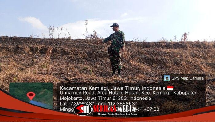 Titik Api Muncul di Lahan Jagung Mojorejo, Babinsa Ingatkan Warga Waspadai Karhutla