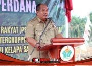 Bupati Asahan Lakukan Tanam Perdana PSR Kemitraan dan Intercropping Padi Gogo di Kecamatan Bandar Pasir Mandoge