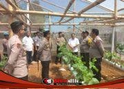 Dukung Ketahanan Pangan, Kapolres Blitar Monitoring Turun Langsung Tanaman P2L di Wilayah Wates