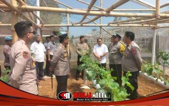 Dukung Ketahanan Pangan, Kapolres Blitar Monitoring Turun Langsung Tanaman P2L di Wilayah Wates