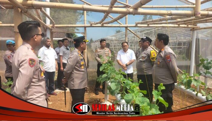 Dukung Ketahanan Pangan, Kapolres Blitar Monitoring Turun Langsung Tanaman P2L di Wilayah Wates