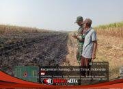 Titik Api Muncul di Lahan Tebu Kemlagi, Babinsa Ingatkan Petani Waspadai Pembakaran Sisa Panen