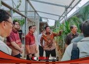 Bebas Tiket Masuk Kelopak Lapan Buka Akses Luas Untuk Nikmati Suasana Hijau Dan Kuliner Lokal