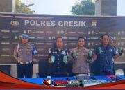 Polres Gresik Sita 10,858 Kg Ganja dari Gudang Ekspedisi J&T Cargo Cerme
