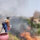 Terulang Dua Kali dalam Sepekan! KAI Daop 7 Madiun Perketat Pengawasan Imbas Aksi Bakar Lahan dan Ilalang yang Ganggu Perjalanan KA