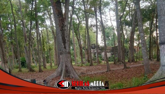 Patung Durga di Jengkol Plosoklaten Hilang, Keberadaan Patung Ditelusuri