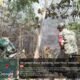 Api Membakar Hutan Jati Temuireng Mojokerto, 1,3 Hektare Lahan Terdampak