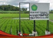 Empat Tahun Menanti Kampus IV UIN Malang, Lahan Hibah di Turen Kini Jadi Sorotan