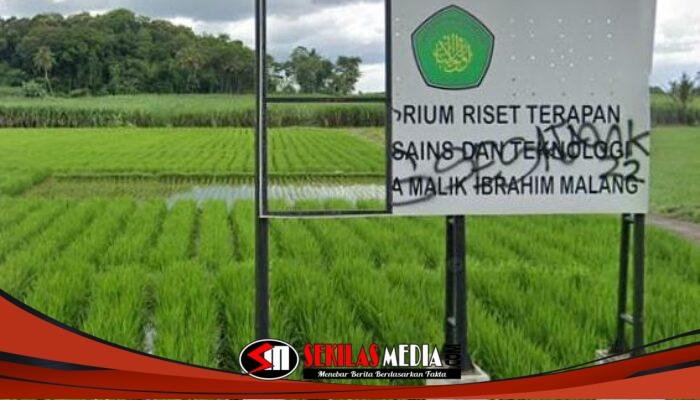 Empat Tahun Menanti Kampus IV UIN Malang, Lahan Hibah di Turen Kini Jadi Sorotan