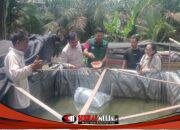 PT Siringo-ringo Salurkan CSR ke Kelompok Tani Talsim Pilar Sejahtera
