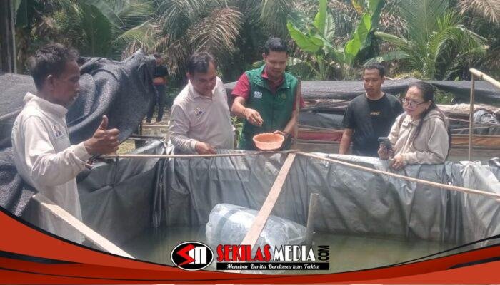 PT Siringo-ringo Salurkan CSR ke Kelompok Tani Talsim Pilar Sejahtera