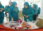 TP PKK Kabupaten Asahan Gelar Rakornis, Tekankan Tertib Administrasi dan Sinergi Program Kerja