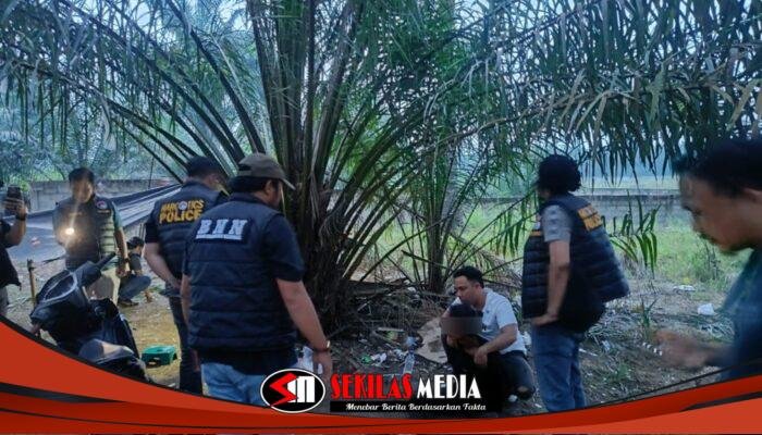 Polres Labuhanbatu Grebek Sarang Sabu di Kualuh Selatan, Satu Pria Diciduk, Pondok Narkoba Dimusnahkan