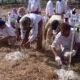 DPC Partai Gerindra Gresik Tanam 750 Mangrove Peringati HUT ke-75 Prabowo Subianto
