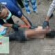 Respon Cepat Unit Identifikasi Sat Reskrim Polres Labuhanbatu Tangani Penemuan Mayat di Kebun Sawit Bilah Barat